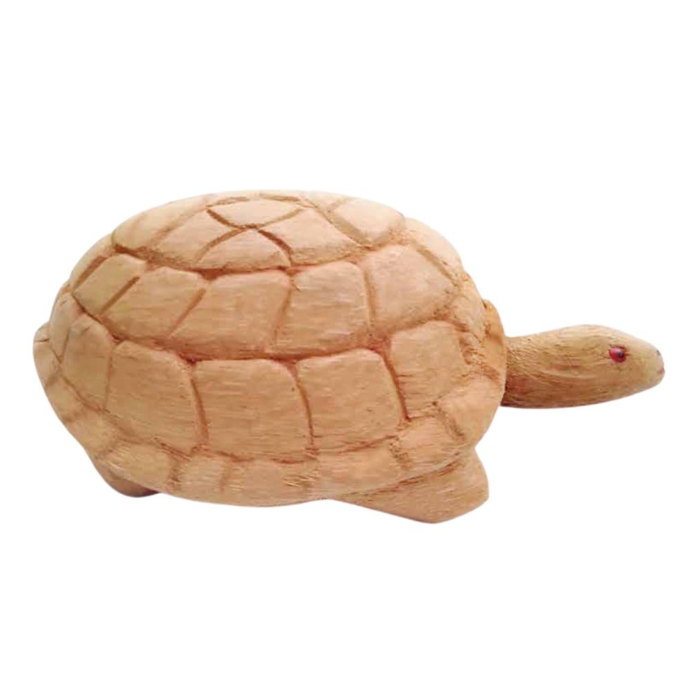 Turtle - DK05