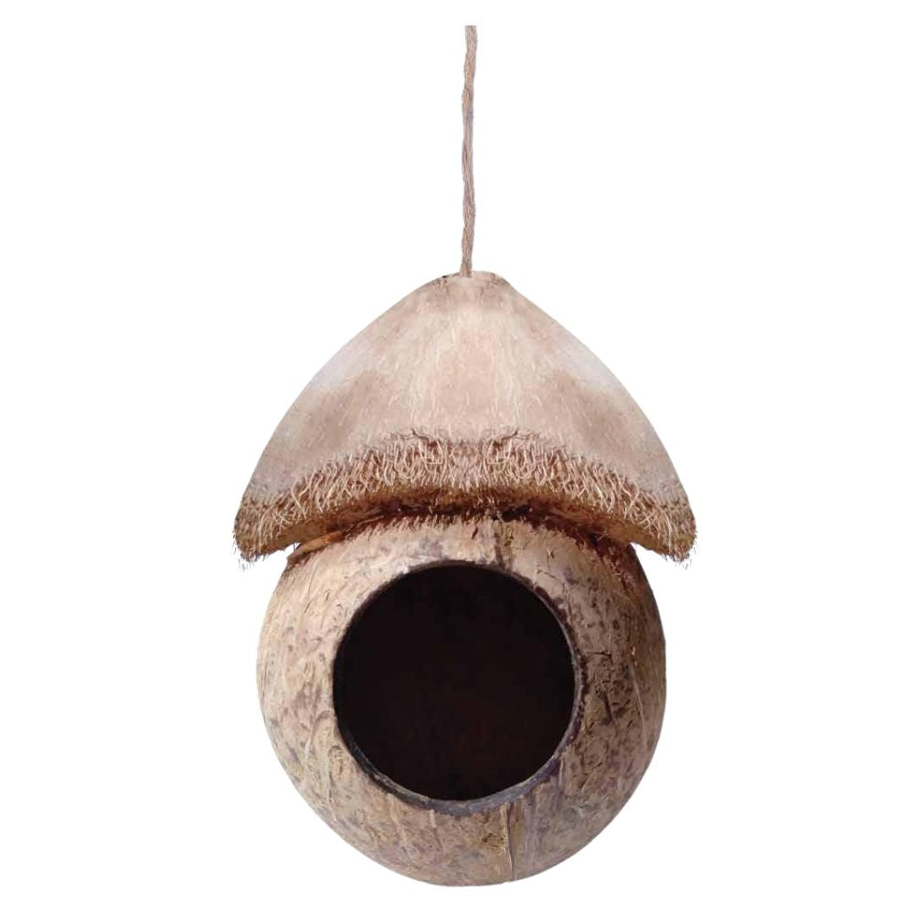 Birds Nest 01 - DK01